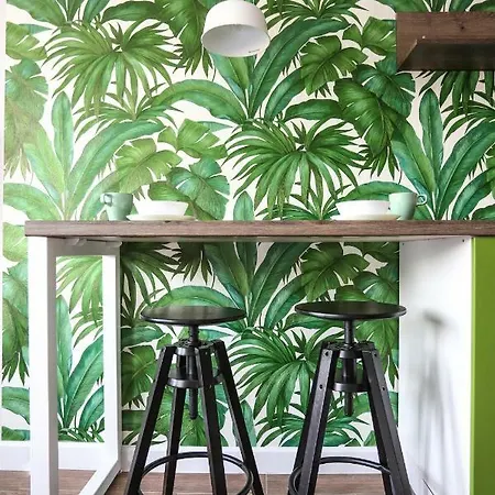 Pensjonat Moms House Golubac